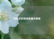 竞彩足彩现场直播在哪看