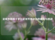 足球外围前十平台足球外围平台的崛起与挑战