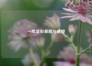 一年足彩策略与展望