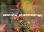 赌足球外围平台一场充满风险与机遇的游戏