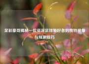 足彩豪哥揭秘一位资深足球爱好者的独特视角与预测技巧