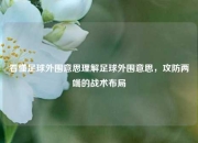 看懂足球外围意思理解足球外围意思，攻防两端的战术布局
