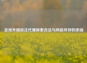 足球外围投注代理探索合法与风险并存的市场