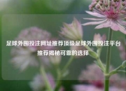 足球外围投注网址推荐顶级足球外围投注平台推荐揭秘可靠的选择