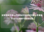 足球竞彩外围app苹果版足球竞彩外围app苹果版的全方位解析与使用指南