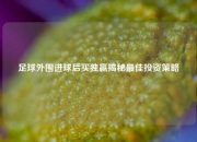 足球外围进球后买独赢揭秘最佳投资策略