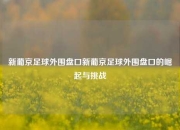 新葡京足球外围盘口新葡京足球外围盘口的崛起与挑战