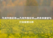 九州外围足球app九州外围足球app的未来展望与行业前景分析