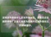 足球买外围是什么足球外围投注，您是否还在困惑其中？这篇文章将为您揭开足球外围投注的神秘面纱。