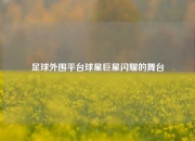 足球外围平台球星巨星闪耀的舞台