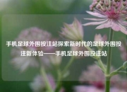 手机足球外围投注站探索新时代的足球外围投注新体验——手机足球外围投注站