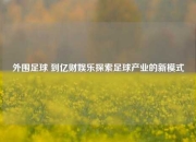 外围足球 到亿财娱乐探索足球产业的新模式