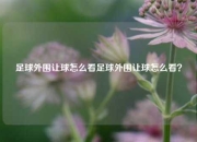 足球外围让球怎么看足球外围让球怎么看？