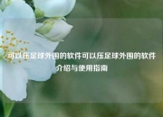 可以压足球外围的软件可以压足球外围的软件介绍与使用指南