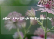 推荐一个足球外围网站谢谢探索全球最佳平台