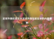 足球外围庄家反水足球外围庄家反水的内幕揭秘