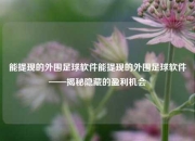 能提现的外围足球软件能提现的外围足球软件——揭秘隐藏的盈利机会