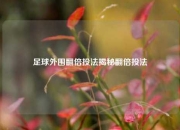 足球外围翻倍投法揭秘翻倍投法