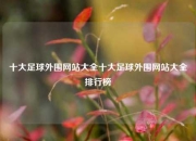 十大足球外围网站大全十大足球外围网站大全排行榜