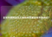 足球外围网站怎么做如何搭建足球外围网站？