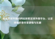 能玩足球外围的网站探索足球外围平台，让足球爱好者尽享激情与乐趣