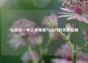 玩足彩一年上岸策略与技巧的实战指南