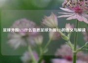 足球外围3.75什么意思足球外围3.75的含义与解读
