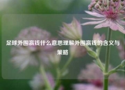 足球外围赢钱什么意思理解外围赢钱的含义与策略