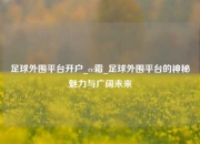 足球外围平台开户_cc霜_足球外围平台的神秘魅力与广阔未来