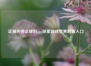 正规外围足球的app探索游戏世界的新入口