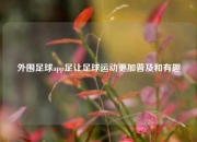 外围足球app足让足球运动更加普及和有趣