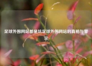 足球外围网站都是坑足球外围网站的真相与警示