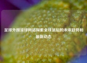 足球外围滚球网站探索全球足坛的未来趋势和最新动态