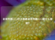 足球外围-1/1.5什么意思足球外围-1/1.5是什么意思？