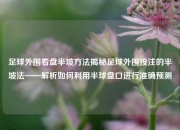 足球外围看盘半坡方法揭秘足球外围投注的半坡法——解析如何利用半球盘口进行准确预测
