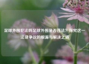 足球外围犯法吗足球外围是否违法？探究这一法律争议的根源与解决之道