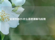 足球外围小3什么意思理解与应用