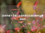 足球外围下注盘口足球外围下注盘口解析与策略探讨