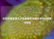 足球外围全场大小全面解析全场大中小的策略与应用