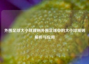 外围足球大小球规则外围足球中的大小球规则解析与应用