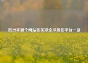 欧洲杯哪个网站能买球全球最佳平台一览
