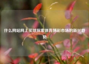 什么网站网上买球探索体育博彩市场的新兴趋势