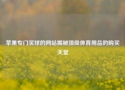 苹果专门买球的网站揭秘顶级体育用品的购买天堂