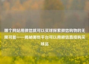 哪个网站用微信就可以买球探索微信购物的无限可能——揭秘哪些平台可以用微信直接购买球品