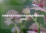 欧锦赛买球官方网站欧洲足球盛宴的最新资讯与预测