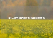 买nba球的网站哪个好精选网站推荐