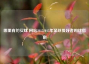 哪里有的买球 网站20152015年足球爱好者购球指南