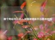 哪个网站可以买nba球揭秘哪些平台值得信赖
