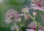 mg电子