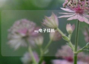 mg电子挂机